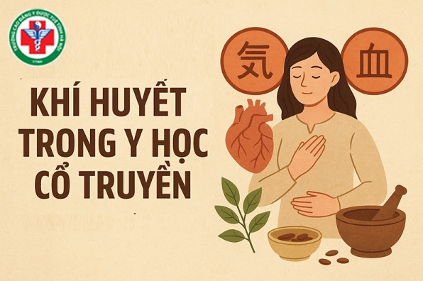 Khí Huyết Là Gì? Giải Mã Bí Ẩn Của Sự Sống Theo Y Học Cổ Truyền Minh họa dòng chảy của khí huyết trong cơ thể