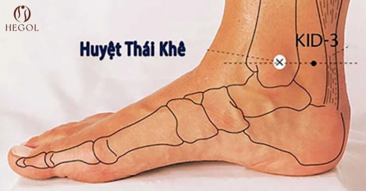 Huyệt Thái Khê: Chìa Khóa Vàng Cho Sức Khỏe Thận & Sinh Lý Minh họa huyệt Thái Khê và các huyệt liên quan