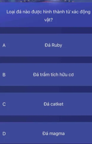 Mô tả hóa thạch động vật trong đá vôi