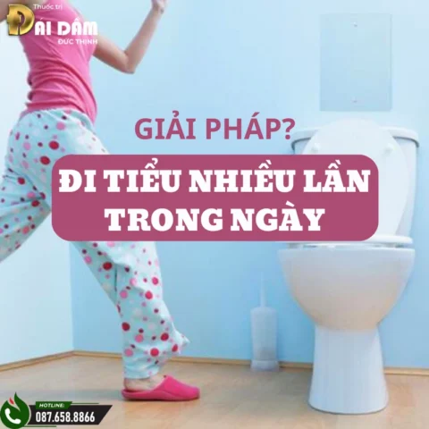Một bát canh bí đao thanh mát