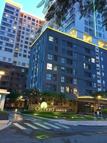 Một khu vườn cây ăn trái lung linh về đêm