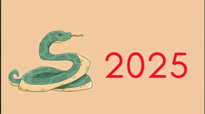 Năm 2025 là năm con gì, mạng gì? Giải mã vận mệnh chi tiết