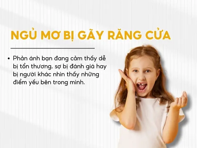 Nằm mơ thấy người khác đánh nhau: Giải mã điềm báo và con số may mắn 2026