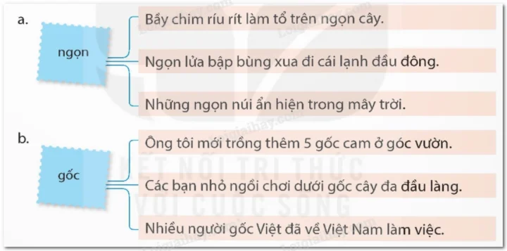 Nghĩa Chuyển Là Gì? Khám Phá Sự Biến Đổi Ngôn Ngữ Sâu Sắc