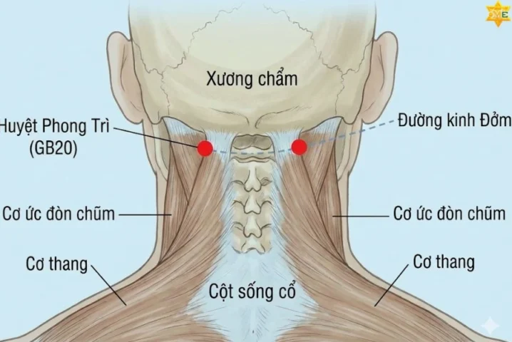 Người đang thực hiện massage cổ và gáy