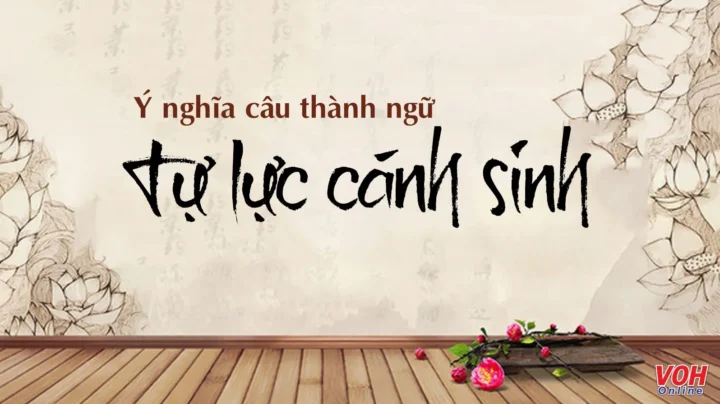 Tự Lực Cánh Sinh: Chìa Khóa Vững Vàng Cho Tương Lai 2026 Người phụ nữ đang làm việc độc lập và tự tin