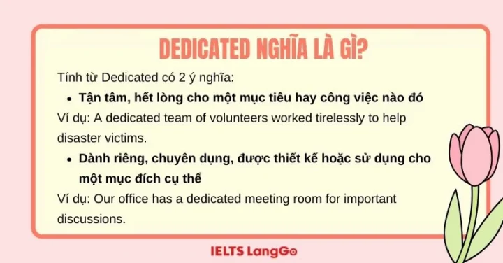 Người trẻ làm việc chăm chỉ thể hiện sự dedication