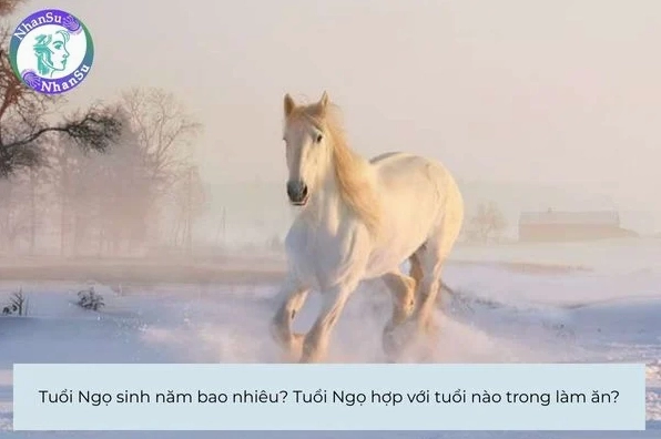 Tuổi Ngọ Sinh Năm Bao Nhiêu? Giải Mã Vận Mệnh Người Tuổi Ngọ Người tuổi Canh Ngọ chăm chỉ