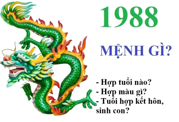 Người tuổi Mậu Thìn 1988