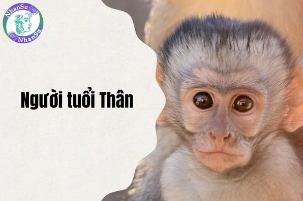 Người tuổi Thân có trí tuệ và lanh lợi