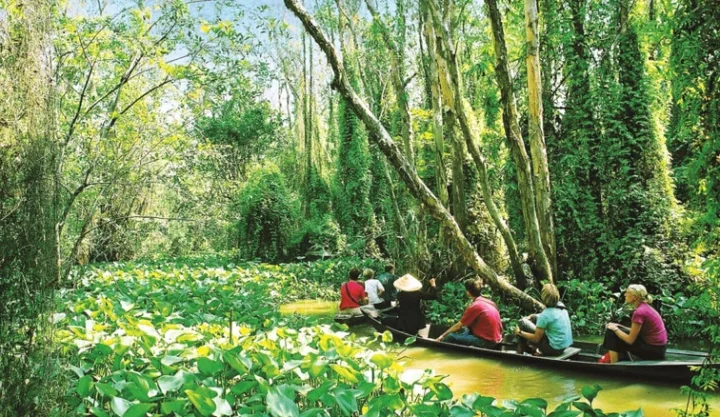 Những luống hoa rực rỡ tại Làng hoa Sa Đéc