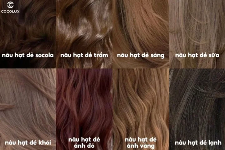 Nhuộm Nâu Hạt Dẻ: Bí Quyết Sở Hữu Mái Tóc Sang Chảnh & Trendy 2026