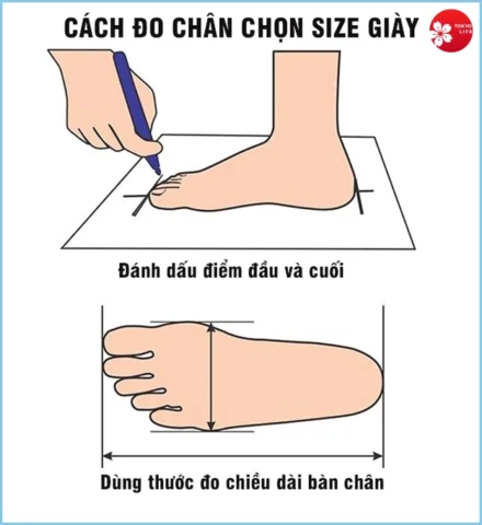 Đo chiều dài và chiều rộng chân cho việc chọn size giày