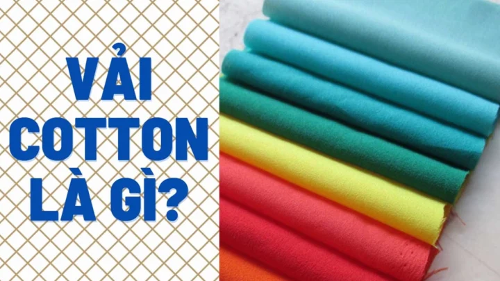 Vải Cotton là gì? Khám phá mọi điều bạn cần biết Quần áo làm từ vải cotton
