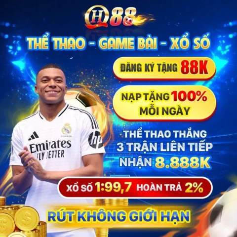 Quân đội nước nào tiến vào miền Bắc nước ta?
