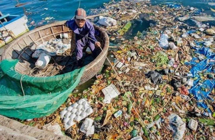 Câu Đố Kiến Thức: Túi Nào Tốt Nhất Cho Môi Trường Khi Mua Sắm? Rác thải túi nilon trôi nổi trên biển