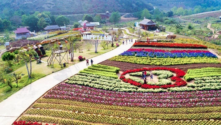 Rừng Thông Bản Áng Mộc Châu