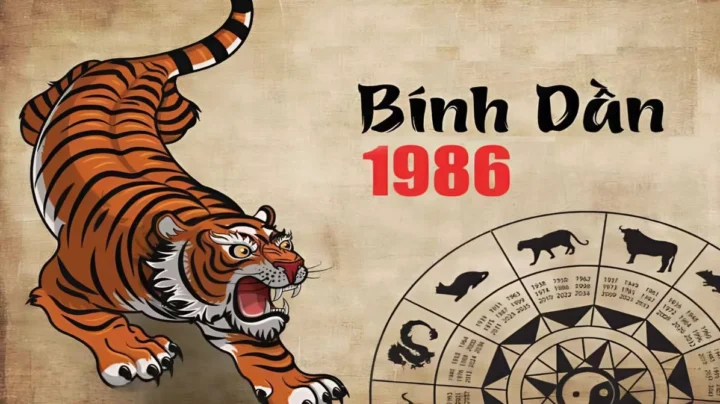 Sinh năm 1986 nữ mạng gì? Giải mã vận mệnh chi tiết 2026