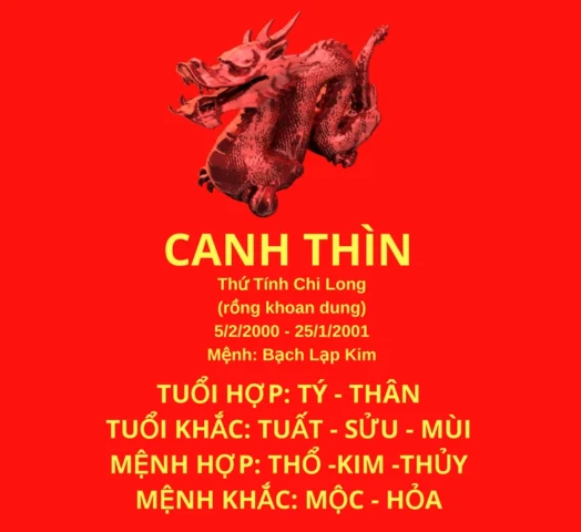 Sinh năm 2000 mang mệnh gì? Giải mã vận mệnh tuổi Canh Thìn 2026 Sinh năm 2000 mang mệnh gì? Giải mã vận mệnh tuổi Canh Thìn 2026