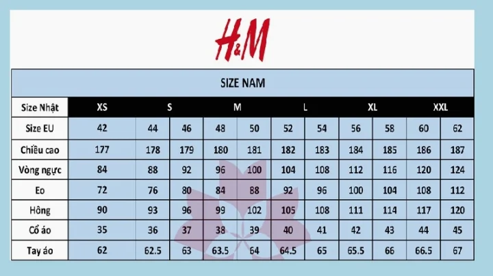 Size Quần 48 Tương Đương Size Gì? Hướng Dẫn Chọn Chuẩn 2026