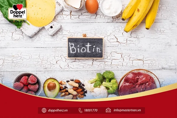 Uống Biotin Thường Xuyên Có Sao Không? Chuyên Gia Giải Đáp Chi Tiết 2026 Sơ đồ minh họa tác dụng của Biotin đối với tóc, da, móng