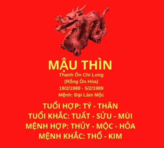 Tính cách người tuổi Mậu Thìn 1988
