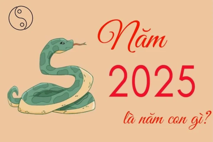 Tổng quan về năm 2025 theo phong thủy