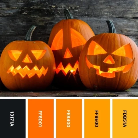 Màu sắc truyền thống của Halloween là gì? Khám phá ngay! Trang trí Halloween với màu tím và trắng