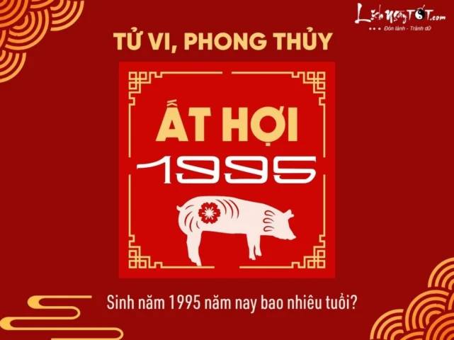 Tuổi Hợi Sinh Năm Bao Nhiêu? Giải Mã Chi Tiết & Dự Đoán 2026 Tuổi Hợi Sinh Năm Bao Nhiêu? Giải Mã Chi Tiết & Dự Đoán 2026