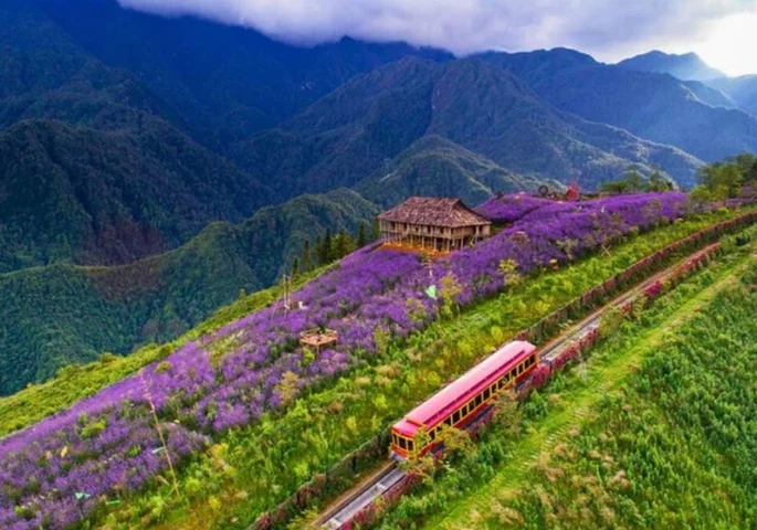 Vẻ đẹp rực rỡ của Thung lũng Mường Hoa mùa lúa chín