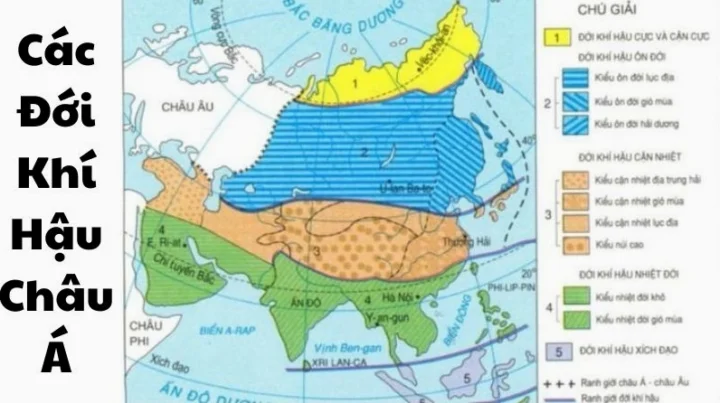 Việt Nam Nằm Trong Đới Khí Hậu Nào? Chuyên Sâu Từ A-Z (2026)