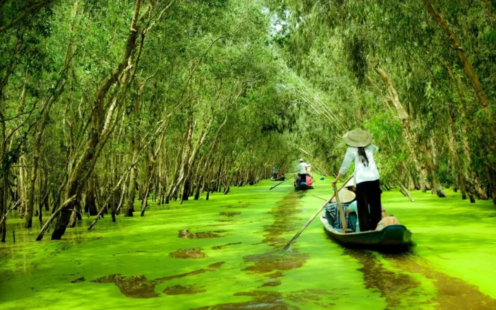 Điểm Du Lịch An Giang 2026: Khám Phá Miền Tây Đầy Hấp Dẫn Vườn trái cây An Giang trĩu quả