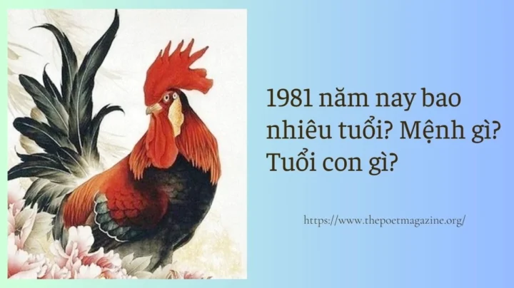 Xem tuổi của người sinh năm 1981