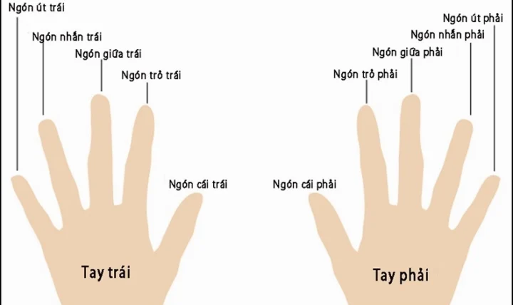 Ý nghĩa đeo nhẫn ngón cái của nữ